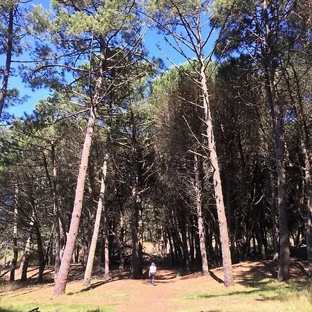 Casa Campelo- Apto Playa De Rodeira - Garaje Y Wifi Gratis