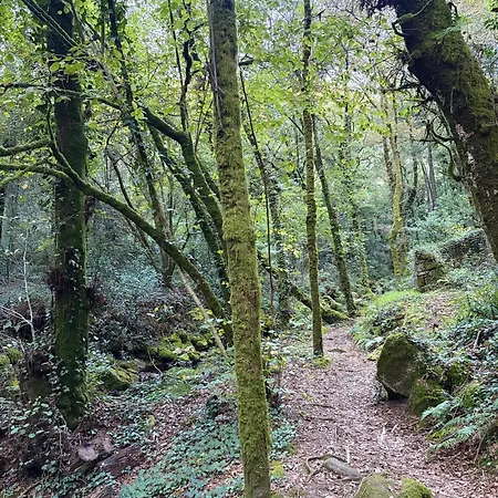 Casa Campelo- Apto Playa De Rodeira - Garaje Y Wifi Gratis *