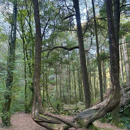 Casa Campelo- Apto Playa De Rodeira - Garaje Y Wifi Gratis カンガス・デ・モラソ